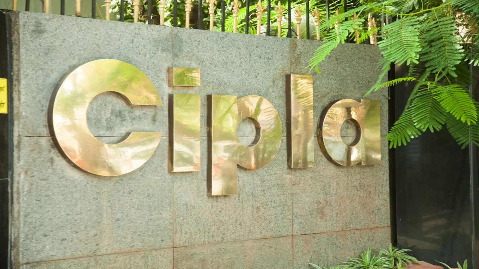 Leadership Transition at Cipla: MK Hamied Resigns as Vice Chairman, Kamil Hamied to Join as Non-Executive Director